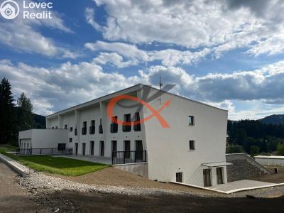 Pronájem bytu 3+KK Horní Bečva č. 1