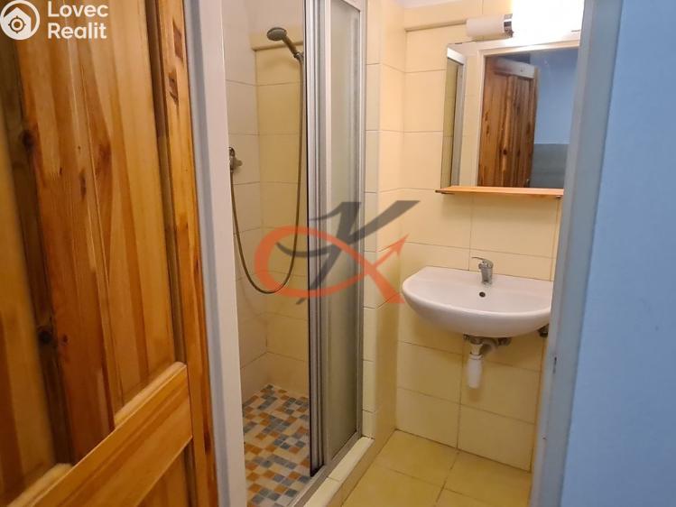 Pronájem bytu 1+KK Frenštát pod Radhoštěm č. 6