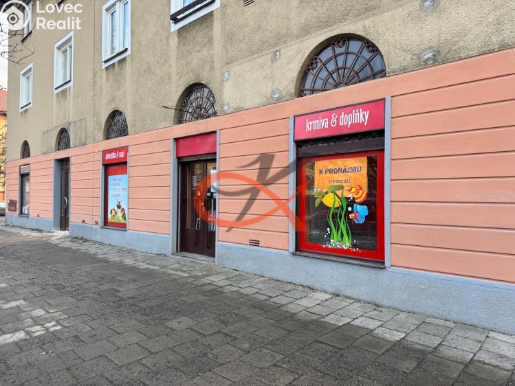 Оренда торгового приміщення Rožnov pod Radhoštěm, Náměstí Míru č. 1