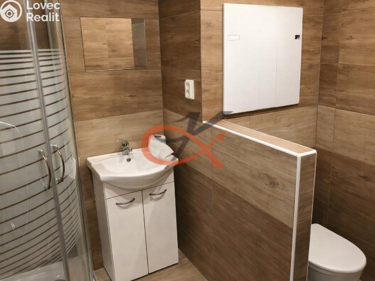 Продажа квартиры 1+1 Frenštát pod Radhoštěm, Podkopčí č. 3