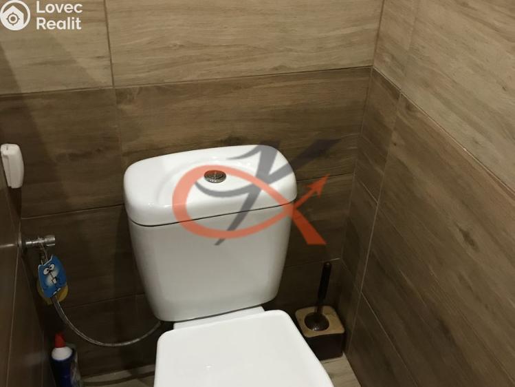 Продажа квартиры 1+1 Frenštát pod Radhoštěm, Podkopčí č. 6