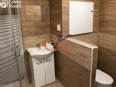 Sale apartment 1+1 Frenštát pod Radhoštěm, Podkopčí č. 3