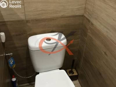 Sale apartment 1+1 Frenštát pod Radhoštěm, Podkopčí č. 6