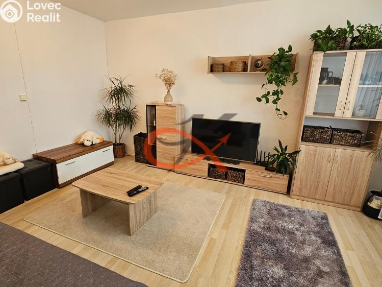 Rent apartment 3+1 Rožnov pod Radhoštěm, Svazarmovská č. 1