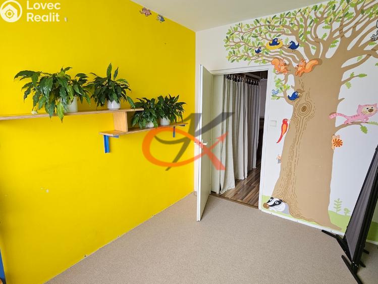 Rent apartment 3+1 Rožnov pod Radhoštěm, Svazarmovská č. 14