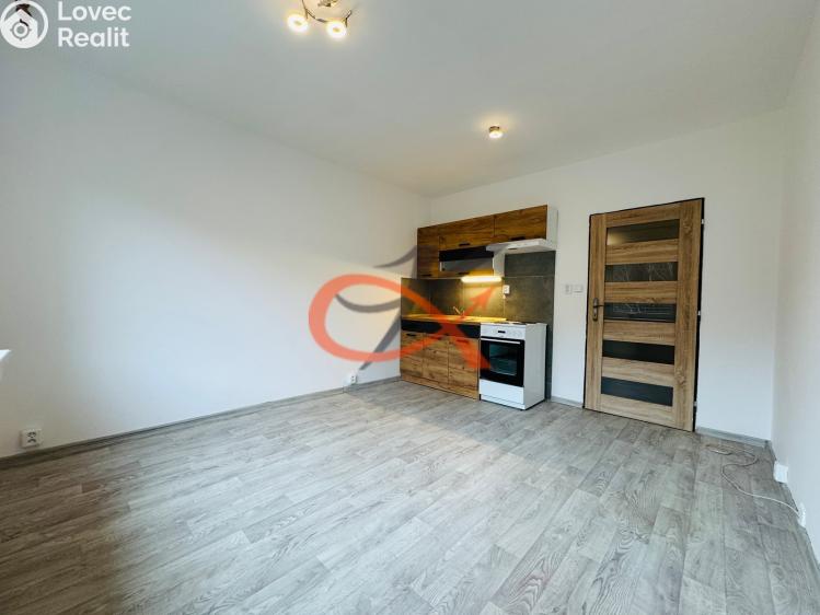 Pronájem bytu 1+KK Rožnov pod Radhoštěm, Lesní č. 2