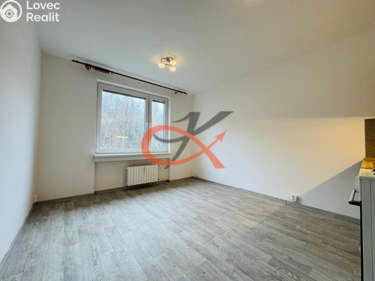 Pronájem bytu 1+KK Rožnov pod Radhoštěm, Lesní č. 3