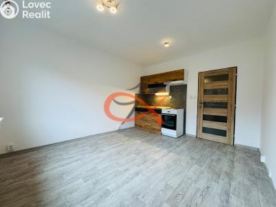 Pronájem bytu 1+KK Rožnov pod Radhoštěm, Lesní č. 2