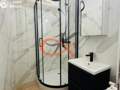 Pronájem bytu 1+KK Rožnov pod Radhoštěm, Lesní č. 5