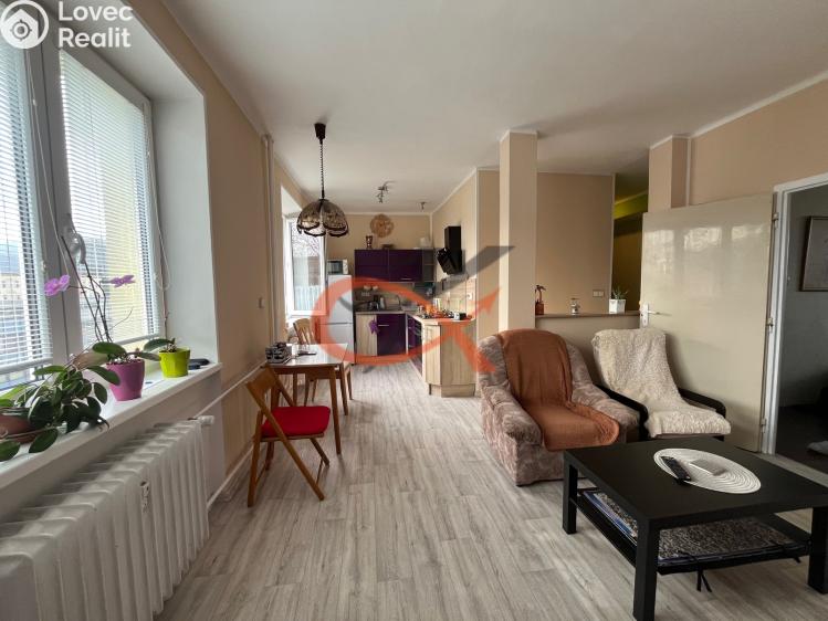 Продаж квартири 2+1 Kopřivnice, Lidická 1037/8 č. 4