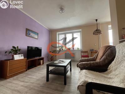 Sale apartment 2+1 Kopřivnice, Lidická č. 1