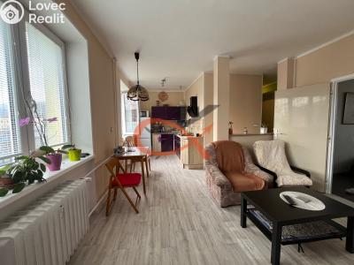 Sale apartment 2+1 Kopřivnice, Lidická č. 4