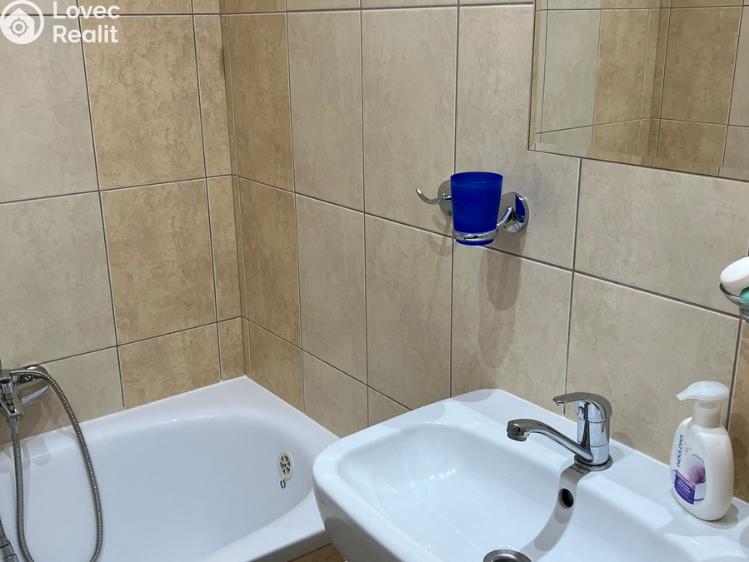 Pronájem bytu 1+1 Prostějov, Družstevní č. 13