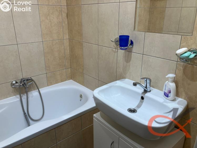 Pronájem bytu 1+1 Prostějov, Družstevní č. 14