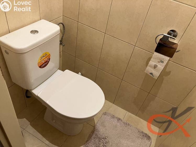 Pronájem bytu 1+1 Prostějov, Družstevní č. 17