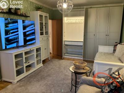 Pronájem bytu 1+1 Prostějov, Družstevní č. 1