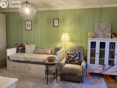 Pronájem bytu 1+1 Prostějov, Družstevní č. 4