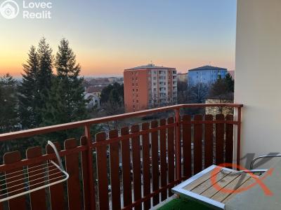 Pronájem bytu 1+1 Prostějov, Družstevní č. 6