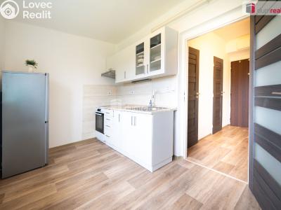 Sale apartment 1+1 Osek č. 4