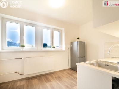 Sale apartment 1+1 Osek č. 6