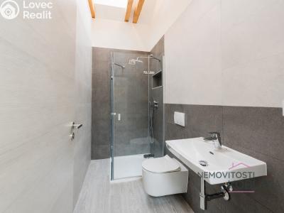 Rent apartment 4+KK Praha, Hostivická č. 9
