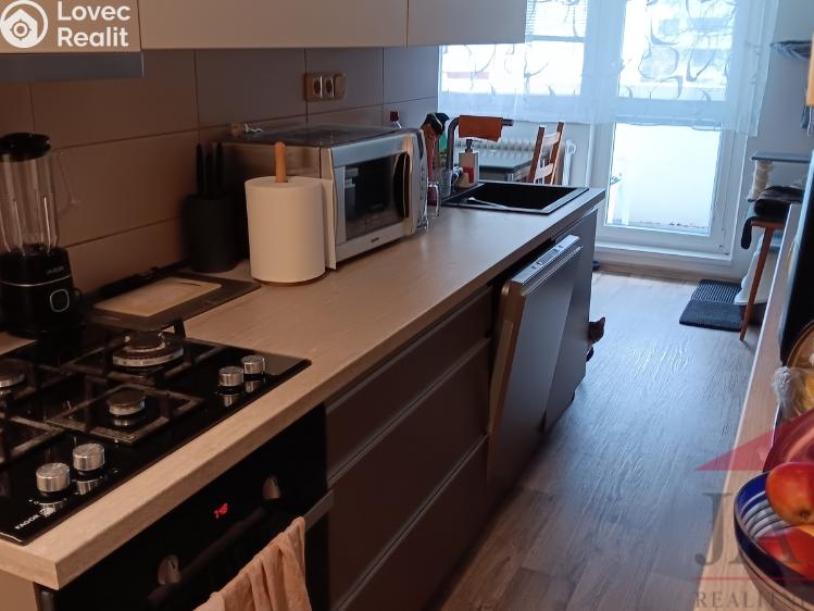 Pronájem bytu 3+1 Jihlava, Březinova 3638/15 č. 4
