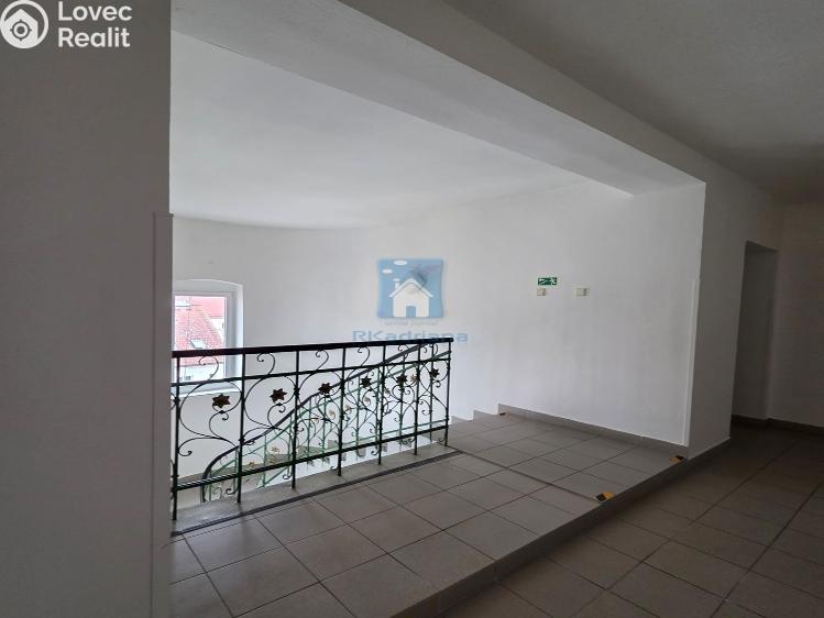 Rent office space Plzeň, Hálkova č. 3