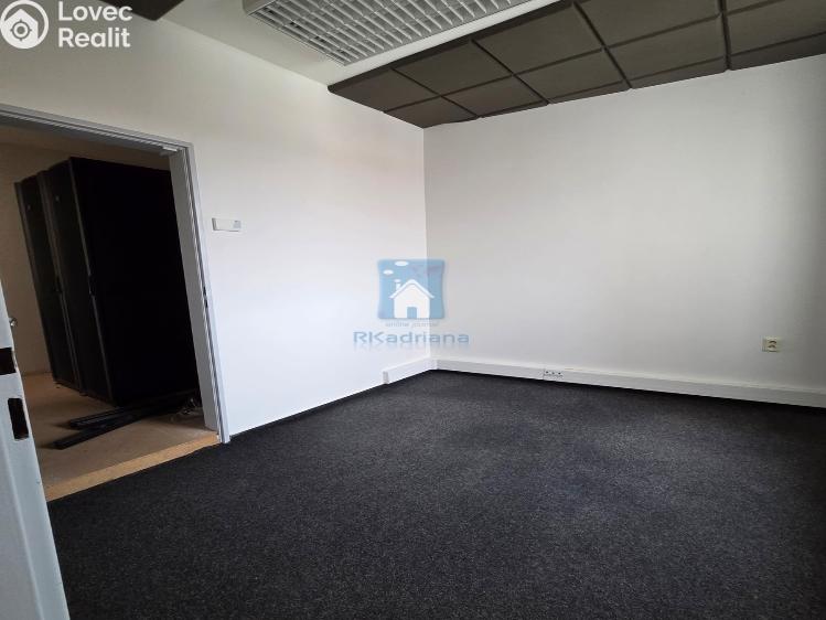 Rent office space Plzeň, Hálkova č. 6