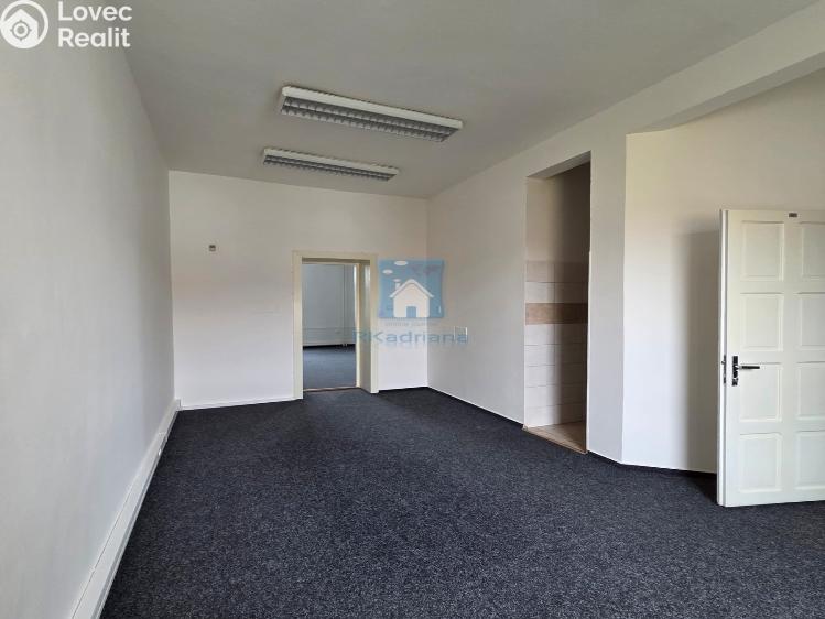 Rent office space Plzeň, Hálkova č. 13