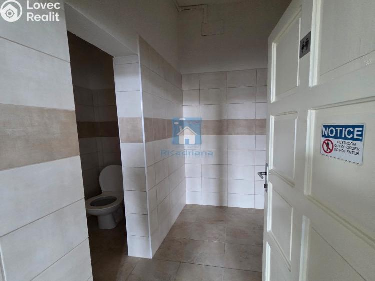 Rent office space Plzeň, Hálkova č. 21