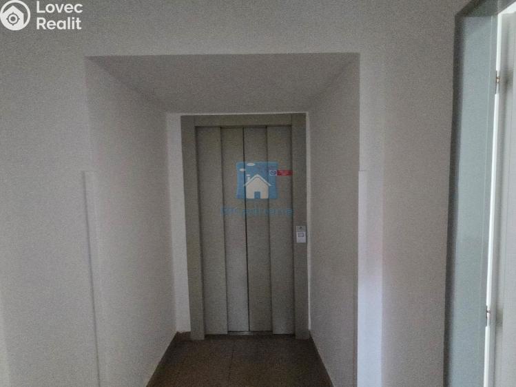 Rent office space Plzeň, Hálkova č. 22