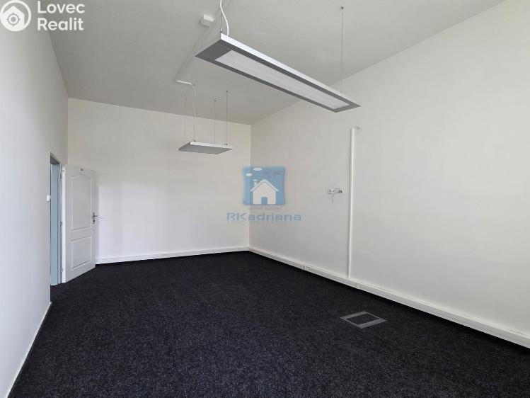 Rent office space Plzeň, Hálkova č. 23