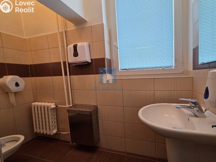 Rent office space Plzeň, Hálkova č. 28