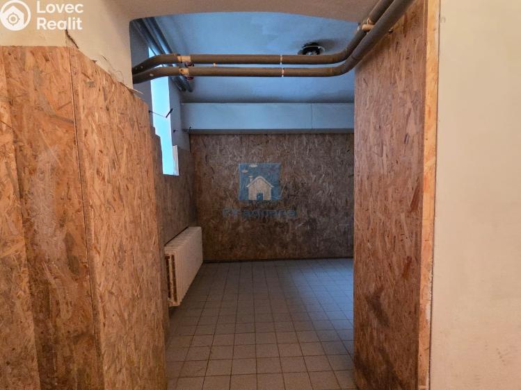 Rent office space Plzeň, Hálkova č. 32