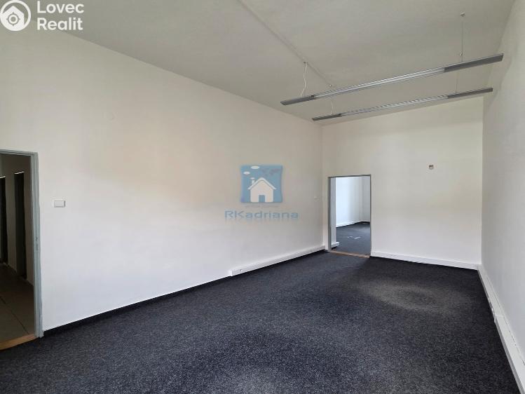 Rent office space Plzeň, Hálkova č. 36