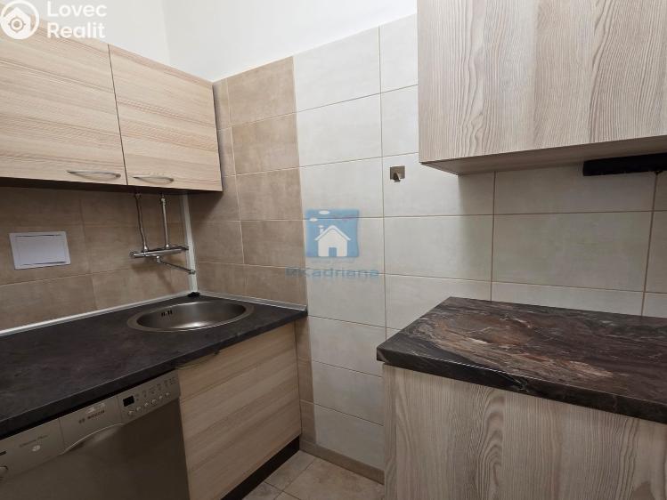 Rent office space Plzeň, Hálkova č. 44