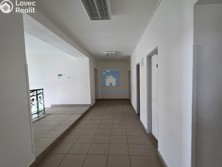 Rent office space Plzeň, Hálkova č. 27