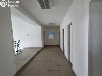 Rent office space Plzeň, Hálkova č. 4