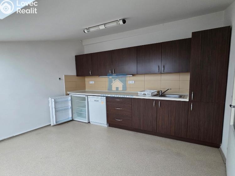 Rent office space Plzeň, Hálkova č. 1