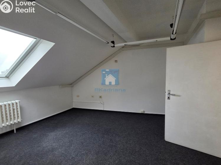 Rent office space Plzeň, Hálkova č. 4