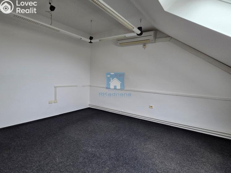 Rent office space Plzeň, Hálkova č. 6