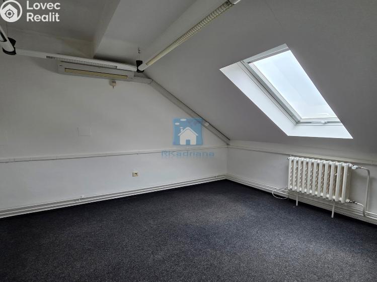 Rent office space Plzeň, Hálkova č. 7