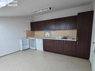 Rent office space Plzeň, Hálkova č. 1