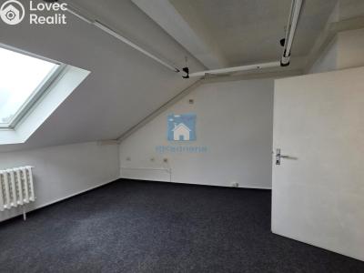 Rent office space Plzeň, Hálkova č. 4