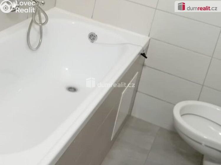 Rent apartment 3+1 Cheb, Dlouhá č. 4