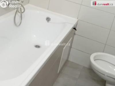 Rent apartment 3+1 Cheb, Dlouhá č. 4