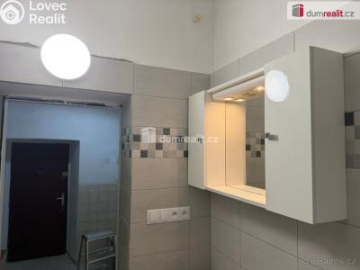 Rent apartment 3+1 Cheb, Dlouhá č. 5