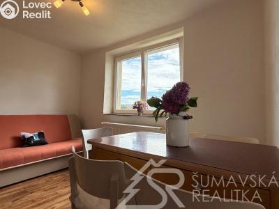 Sale family house Plánice č. 6