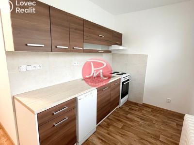 Pronájem bytu 2+1 Ostrava, U Prodejny č. 1