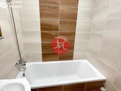 Оренда квартири 2+1 Ostrava, U Prodejny č. 7